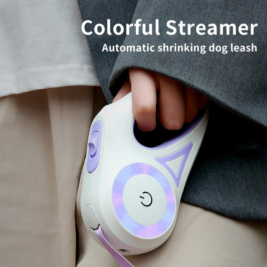 Leash And Dog Collar Spotlight